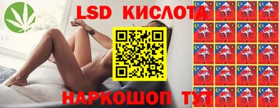 СК Донецк