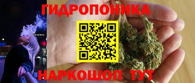 СК Донецк
