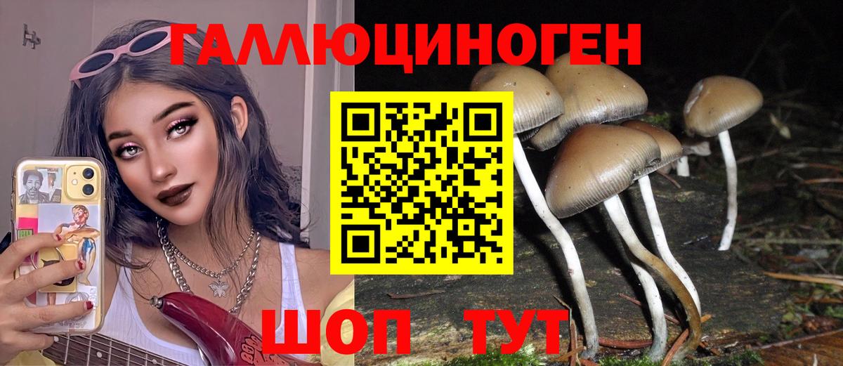 Елизово  Псилоцибиновые грибы Psilocybe  Вход с VPN  дарнет шоп  Псилоцибиновые грибы Magic Shrooms 