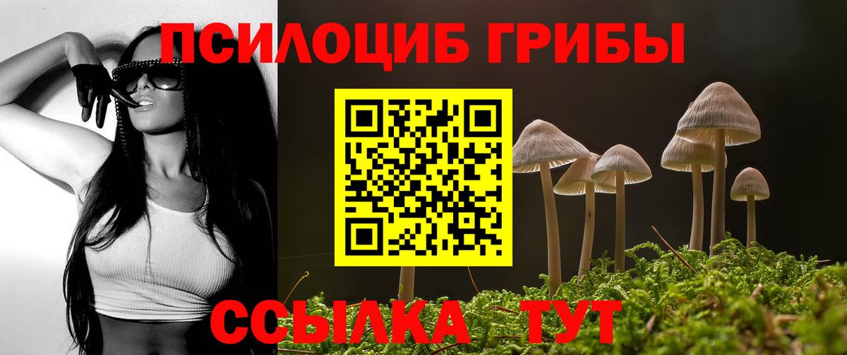 Псилоцибиновые грибы Psilocybine cubensis Елизово