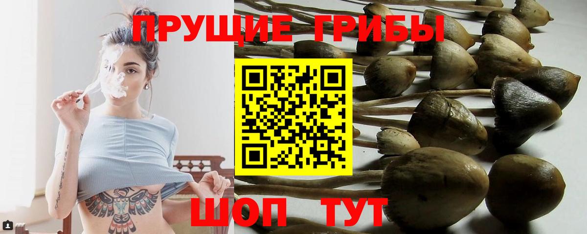 Codein Елизово
